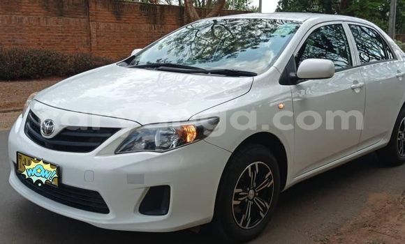 Buy Used Toyota Corolla White Car in Lilongwe in Malawi Buy Used Toyota Corolla White Car in Lilongwe in Malawi