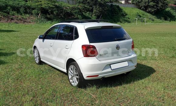 Buy Used Volkswagen Polo White Car in Chilumba in Karonga Buy Used Volkswagen Polo White Car in Chilumba in Karonga