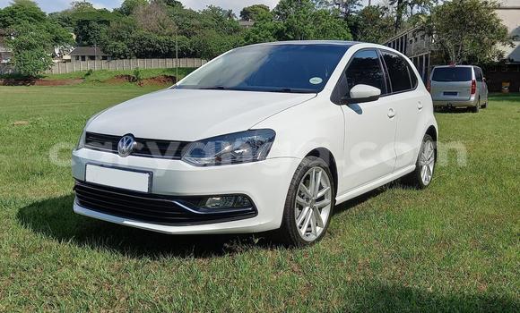 Buy Used Volkswagen Polo White Car in Chilumba in Karonga Buy Used Volkswagen Polo White Car in Chilumba in Karonga