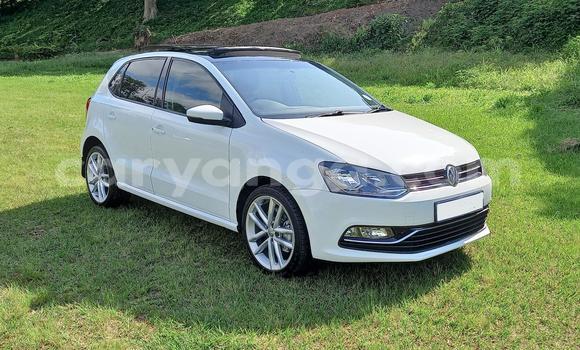 Buy Used Volkswagen Polo White Car in Chilumba in Karonga Buy Used Volkswagen Polo White Car in Chilumba in Karonga
