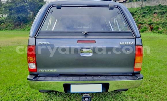 Buy Used Toyota Hilux Silver Car in Chilumba in Karonga Buy Used Toyota Hilux Silver Car in Chilumba in Karonga