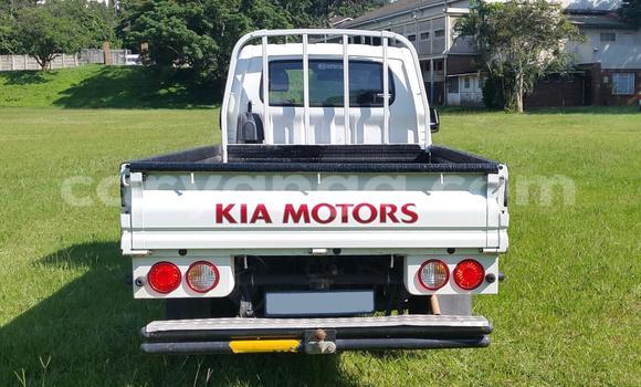 Buy Used Kia Mentor White Car in Balaka in Balaka