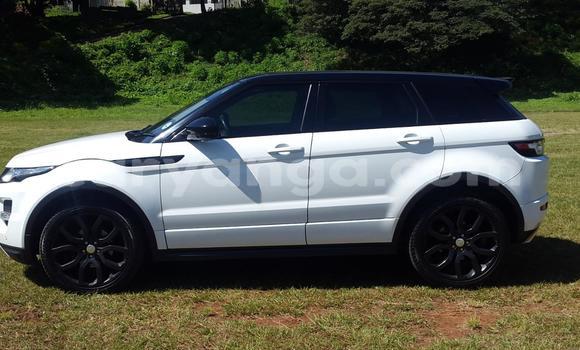 Buy Used Range Rover Range Rover White Car in Balaka in Balaka