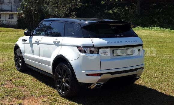 Buy Used Range Rover Range Rover White Car in Balaka in Balaka Buy Used Range Rover Range Rover White Car in Balaka in Balaka