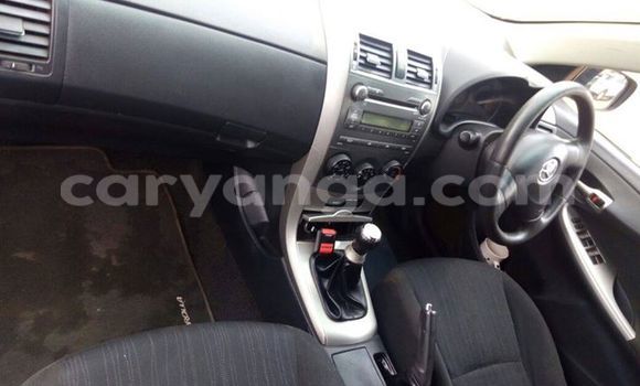 Buy Used Toyota Corolla Black Car in Limbe in Malawi Buy Used Toyota Corolla Black Car in Limbe in Malawi