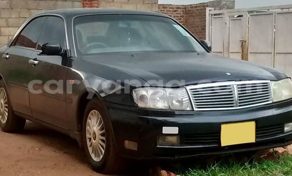 Buy Used Nissan Frontier Black Car in Limbe in Malawi Buy Used Nissan Frontier Black Car in Limbe in Malawi