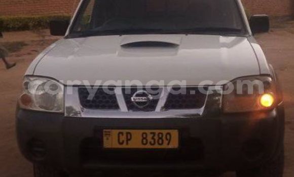 Buy Used Nissan Hardbody White Car in Blantyre in Malawi