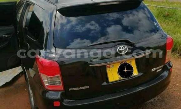 Nunua Ilio tumika Toyota Fielder Black Gari ndani ya Blantyre nchini Malawi Nunua Ilio tumika Toyota Fielder Black Gari ndani ya Blantyre nchini Malawi