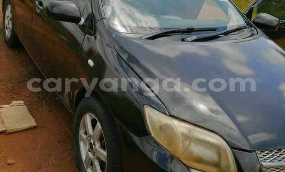 Nunua Ilio tumika Toyota Fielder Black Gari ndani ya Blantyre nchini Malawi Nunua Ilio tumika Toyota Fielder Black Gari ndani ya Blantyre nchini Malawi