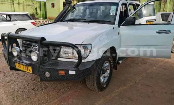 Nunua Ilio tumika Toyota Land Cruiser White Gari ndani ya Blantyre nchini Malawi Nunua Ilio tumika Toyota Land Cruiser White Gari ndani ya Blantyre nchini Malawi