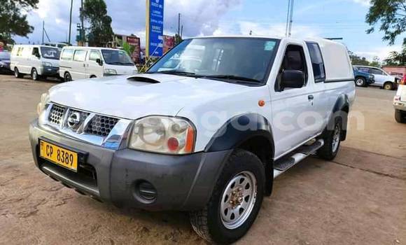 Nunua Ilio tumika Nissan Hardbody White Gari ndani ya Blantyre nchini Malawi Nunua Ilio tumika Nissan Hardbody White Gari ndani ya Blantyre nchini Malawi