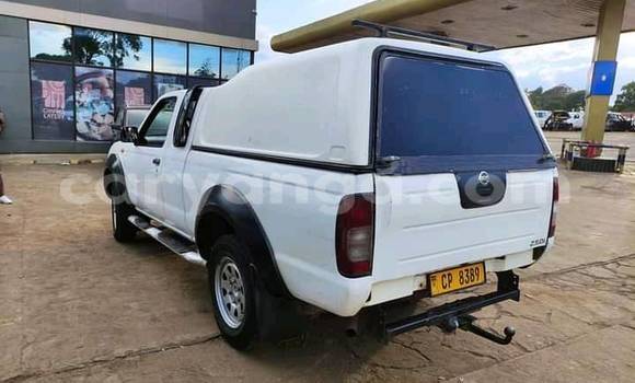 Nunua Ilio tumika Nissan Hardbody White Gari ndani ya Blantyre nchini Malawi Nunua Ilio tumika Nissan Hardbody White Gari ndani ya Blantyre nchini Malawi