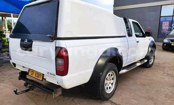 Nunua Ilio tumika Nissan Hardbody White Gari ndani ya Blantyre nchini Malawi Nunua Ilio tumika Nissan Hardbody White Gari ndani ya Blantyre nchini Malawi