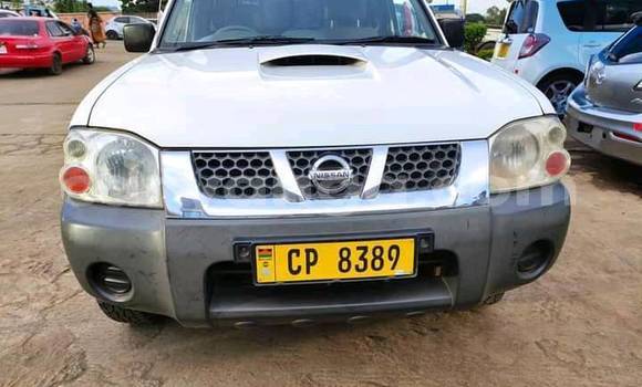 Nunua Ilio tumika Nissan Hardbody White Gari ndani ya Blantyre nchini Malawi Nunua Ilio tumika Nissan Hardbody White Gari ndani ya Blantyre nchini Malawi