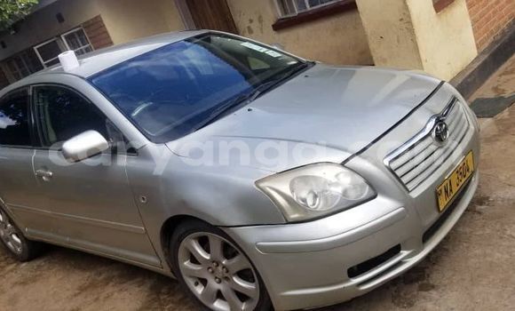 Nunua Ilio tumika Toyota Avensis Silver Gari ndani ya Blantyre nchini Malawi Nunua Ilio tumika Toyota Avensis Silver Gari ndani ya Blantyre nchini Malawi