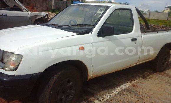 Nunua Ilio tumika Nissan Hardbody White Gari ndani ya Blantyre nchini Malawi Nunua Ilio tumika Nissan Hardbody White Gari ndani ya Blantyre nchini Malawi