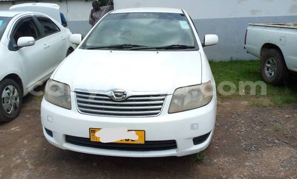 Nunua Ilio tumika Toyota Corolla White Gari ndani ya Blantyre nchini Malawi Nunua Ilio tumika Toyota Corolla White Gari ndani ya Blantyre nchini Malawi