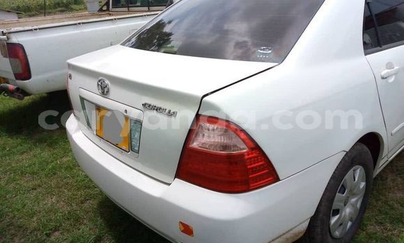 Nunua Ilio tumika Toyota Corolla White Gari ndani ya Blantyre nchini Malawi Nunua Ilio tumika Toyota Corolla White Gari ndani ya Blantyre nchini Malawi
