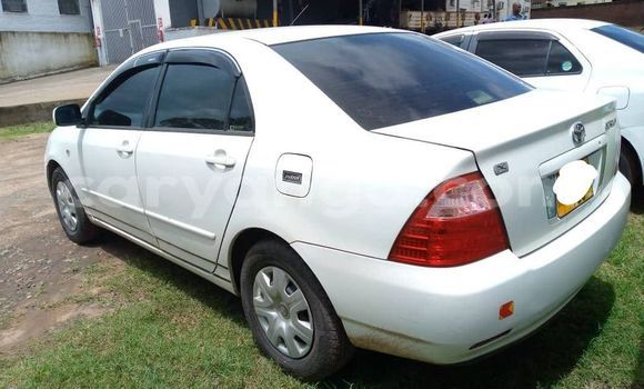Nunua Ilio tumika Toyota Corolla White Gari ndani ya Blantyre nchini Malawi Nunua Ilio tumika Toyota Corolla White Gari ndani ya Blantyre nchini Malawi