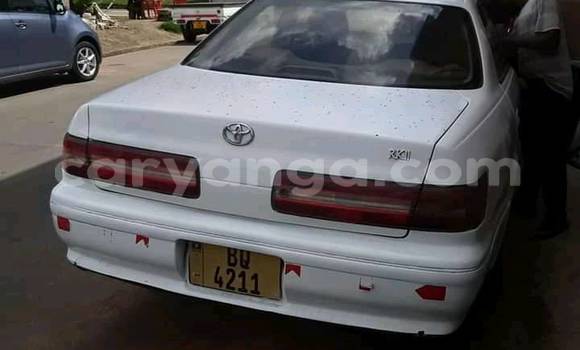 Nunua Ilio tumika Toyota Mark II White Gari ndani ya Blantyre nchini Malawi Nunua Ilio tumika Toyota Mark II White Gari ndani ya Blantyre nchini Malawi