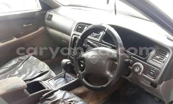 Nunua Ilio tumika Toyota Mark II White Gari ndani ya Blantyre nchini Malawi Nunua Ilio tumika Toyota Mark II White Gari ndani ya Blantyre nchini Malawi