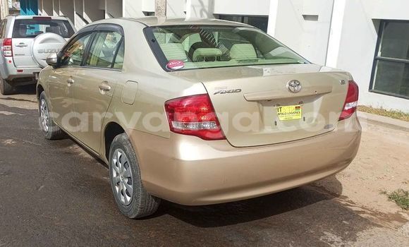 Nunua Ilio tumika Toyota Axio Beige Gari ndani ya Blantyre nchini Malawi Nunua Ilio tumika Toyota Axio Beige Gari ndani ya Blantyre nchini Malawi
