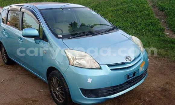 Nunua Ilio tumika Toyota Passo Blue Gari ndani ya Blantyre nchini Malawi Nunua Ilio tumika Toyota Passo Blue Gari ndani ya Blantyre nchini Malawi