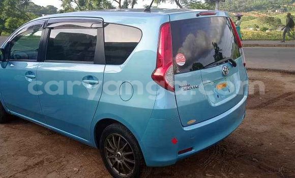 Nunua Ilio tumika Toyota Passo Blue Gari ndani ya Blantyre nchini Malawi Nunua Ilio tumika Toyota Passo Blue Gari ndani ya Blantyre nchini Malawi