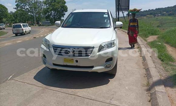 Nunua Ilio tumika Toyota Vanguard White Gari ndani ya Blantyre nchini Malawi Nunua Ilio tumika Toyota Vanguard White Gari ndani ya Blantyre nchini Malawi