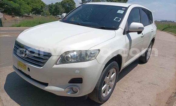 Nunua Ilio tumika Toyota Vanguard White Gari ndani ya Blantyre nchini Malawi Nunua Ilio tumika Toyota Vanguard White Gari ndani ya Blantyre nchini Malawi