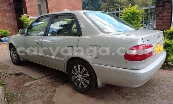 Nunua Ilio tumika Toyota Corolla Beige Gari ndani ya Lilongwe nchini Malawi Nunua Ilio tumika Toyota Corolla Beige Gari ndani ya Lilongwe nchini Malawi