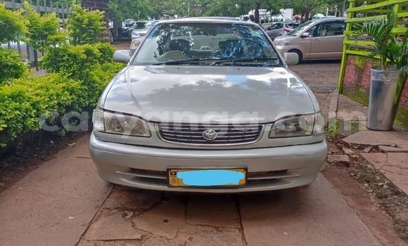 Nunua Ilio tumika Toyota Corolla Beige Gari ndani ya Lilongwe nchini Malawi Nunua Ilio tumika Toyota Corolla Beige Gari ndani ya Lilongwe nchini Malawi