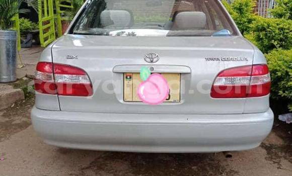 Nunua Ilio tumika Toyota Corolla Beige Gari ndani ya Lilongwe nchini Malawi Nunua Ilio tumika Toyota Corolla Beige Gari ndani ya Lilongwe nchini Malawi