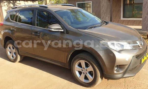 Buy Used Toyota RAV4 Brown Car in Lilongwe in Malawi Buy Used Toyota RAV4 Brown Car in Lilongwe in Malawi