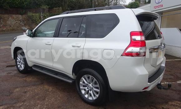 Nunua Ilio tumika Toyota Land Cruiser Prado White Gari ndani ya Lilongwe nchini Malawi Nunua Ilio tumika Toyota Land Cruiser Prado White Gari ndani ya Lilongwe nchini Malawi