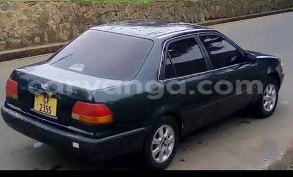 Acheter Occasion Voiture Toyota Corolla Vert à Blantyre, Malawi Acheter Occasion Voiture Toyota Corolla Vert à Blantyre, Malawi