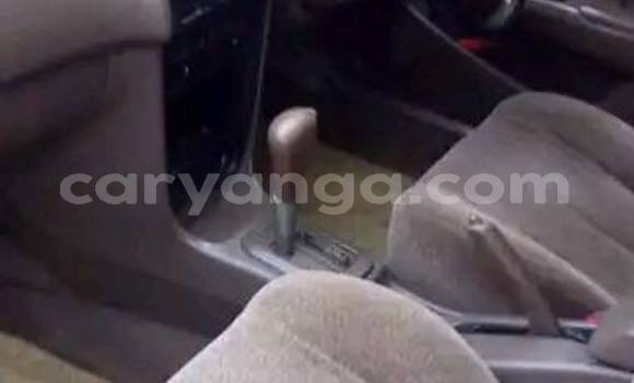 Acheter Occasion Voiture Toyota Corolla Vert à Blantyre, Malawi Acheter Occasion Voiture Toyota Corolla Vert à Blantyre, Malawi