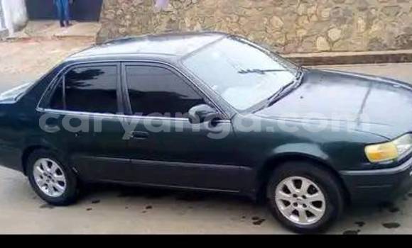 Acheter Occasion Voiture Toyota Corolla Vert à Blantyre, Malawi Acheter Occasion Voiture Toyota Corolla Vert à Blantyre, Malawi