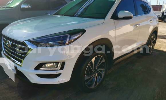 Acheter Occasion Voiture Hyundai Tucson Blanc à Blantyre, Malawi Acheter Occasion Voiture Hyundai Tucson Blanc à Blantyre, Malawi