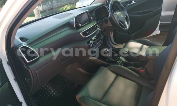 Acheter Occasion Voiture Hyundai Tucson Blanc à Blantyre, Malawi Acheter Occasion Voiture Hyundai Tucson Blanc à Blantyre, Malawi