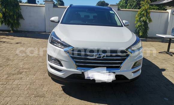 Acheter Occasion Voiture Hyundai Tucson Blanc à Blantyre, Malawi Acheter Occasion Voiture Hyundai Tucson Blanc à Blantyre, Malawi