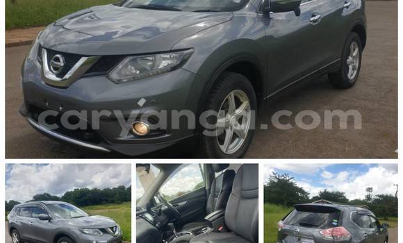 Acheter Occasion Voiture Nissan X–Trail Autre à Blantyre, Malawi Acheter Occasion Voiture Nissan X–Trail Autre à Blantyre, Malawi