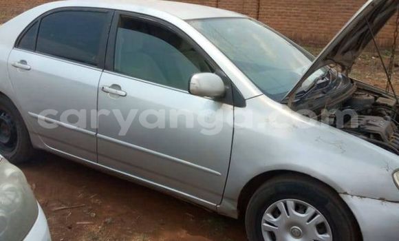 Acheter Occasion Voiture Toyota Corolla Gris à Lilongwe, Malawi Acheter Occasion Voiture Toyota Corolla Gris à Lilongwe, Malawi