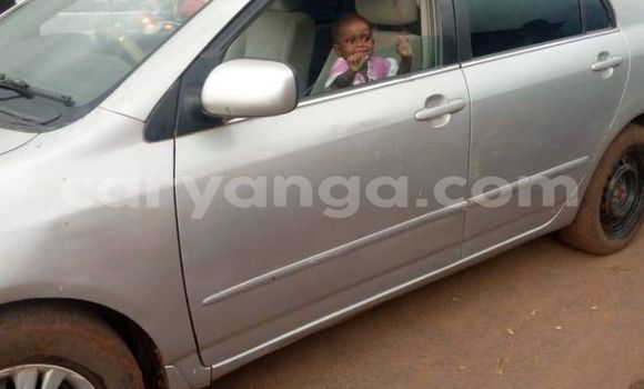 Acheter Occasion Voiture Toyota Corolla Gris à Lilongwe, Malawi Acheter Occasion Voiture Toyota Corolla Gris à Lilongwe, Malawi