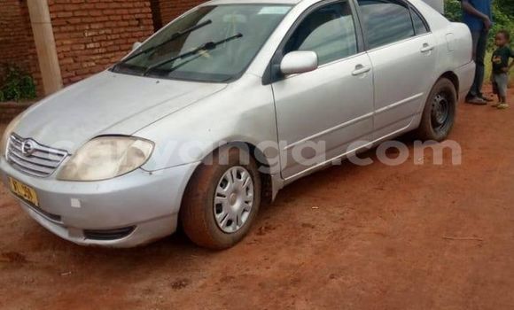 Acheter Occasion Voiture Toyota Corolla Gris à Lilongwe, Malawi Acheter Occasion Voiture Toyota Corolla Gris à Lilongwe, Malawi