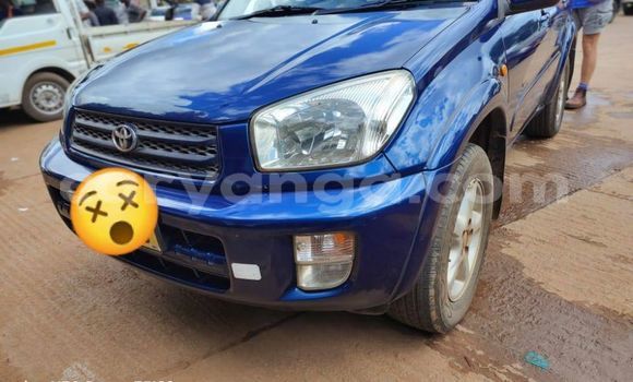 Acheter Occasion Voiture Toyota RAV4 Bleu à Lilongwe, Malawi Acheter Occasion Voiture Toyota RAV4 Bleu à Lilongwe, Malawi