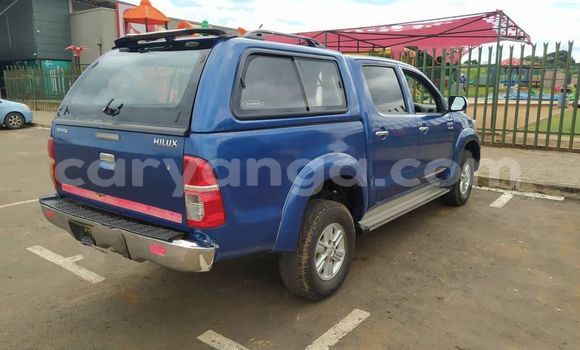 Acheter Occasion Voiture Toyota Hilux Bleu à Lilongwe, Malawi Acheter Occasion Voiture Toyota Hilux Bleu à Lilongwe, Malawi