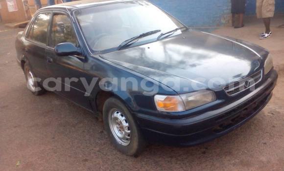 Buy Used Toyota Fielder Black Car in Limbe in Malawi Buy Used Toyota Fielder Black Car in Limbe in Malawi