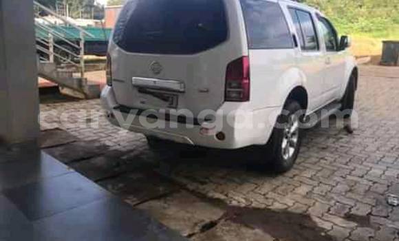 Acheter Occasion Voiture Nissan Pathfinder Blanc à Blantyre, Malawi Acheter Occasion Voiture Nissan Pathfinder Blanc à Blantyre, Malawi