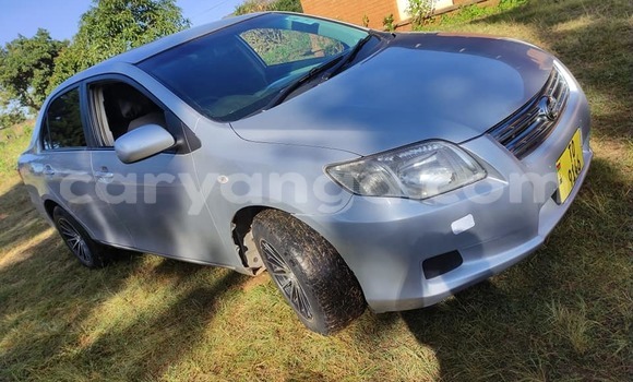 Nunua Ilio tumika Toyota Axio Silver Gari ndani ya Blantyre nchini Malawi Nunua Ilio tumika Toyota Axio Silver Gari ndani ya Blantyre nchini Malawi